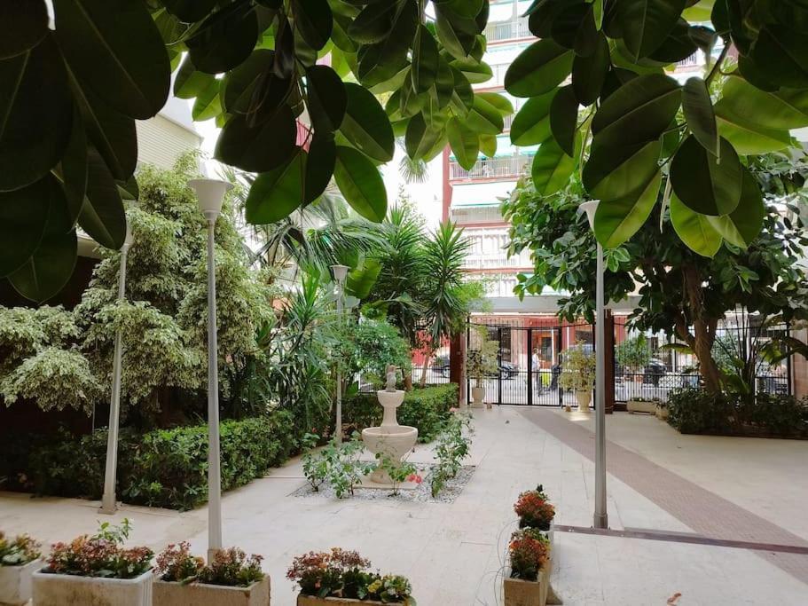 Cullera Mar Διαμέρισμα Εξωτερικό φωτογραφία